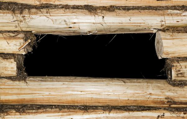 Wood Background