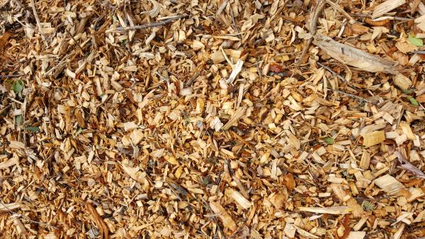 Wood Chips