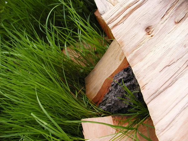 Wood in grass