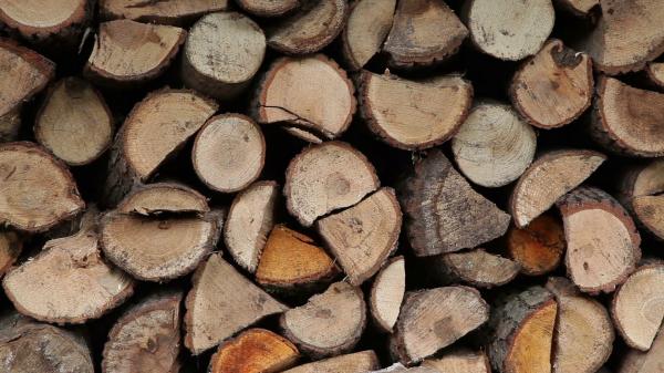 Wood logs