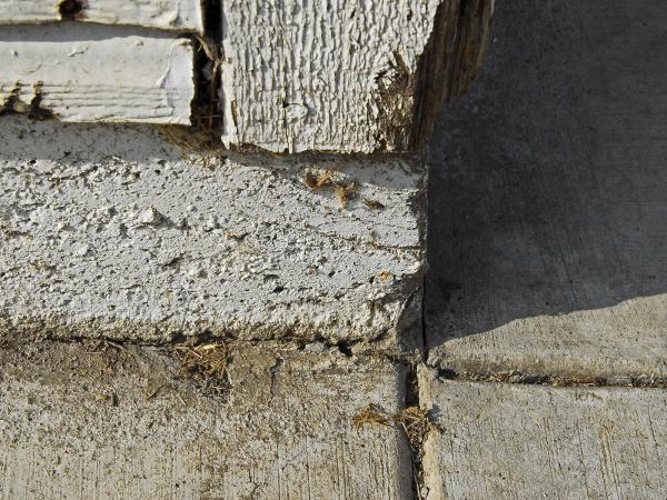 Wood, Paint, &amp; Concrete