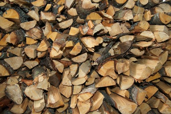 Wood Pile