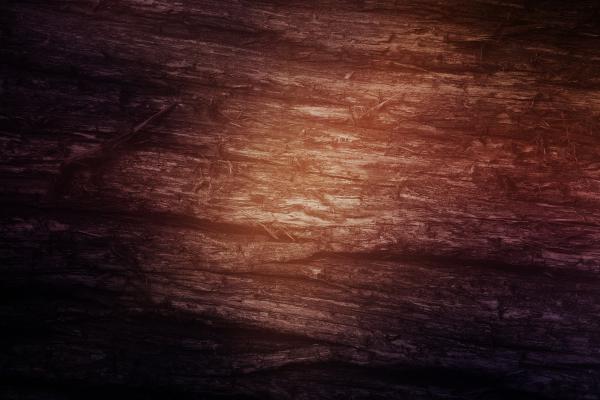 Wood Surface