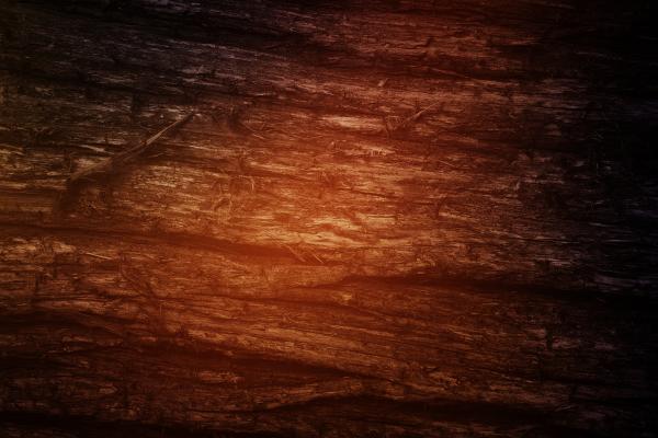 Wood texture