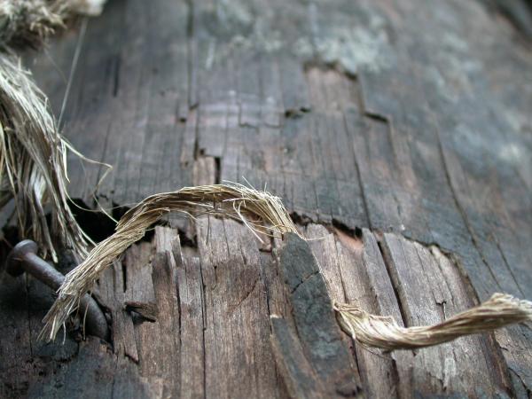 Wood texture