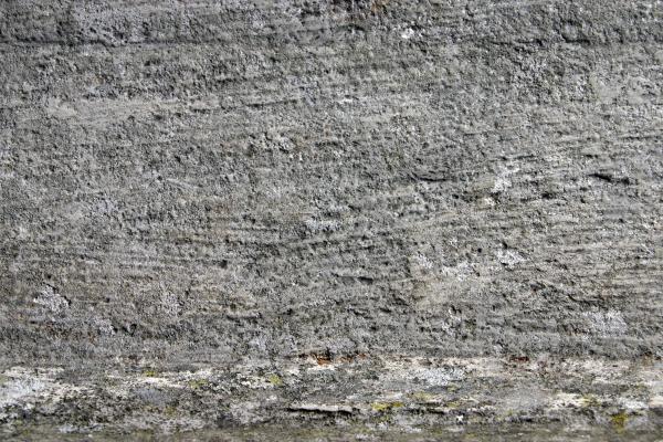 Wood texture