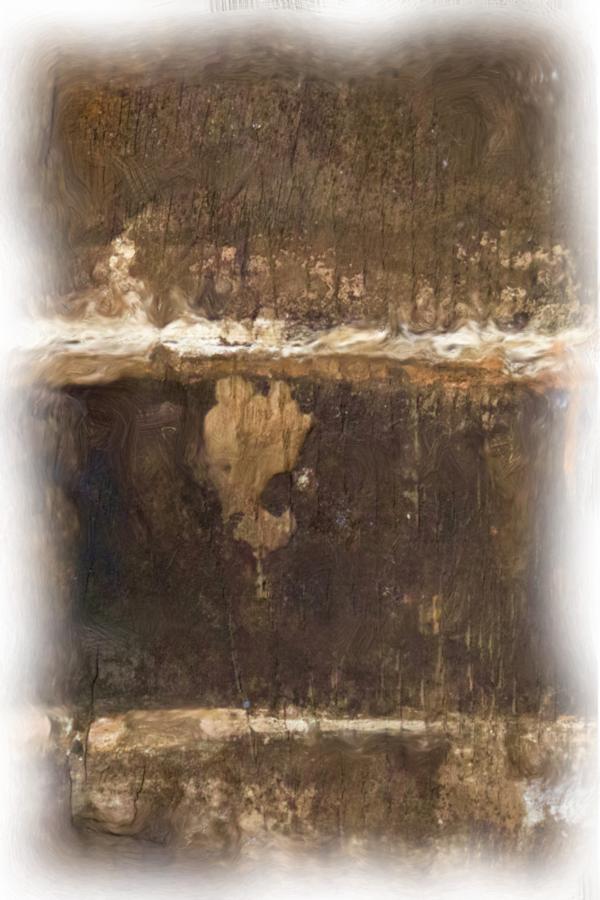 Wood Texture