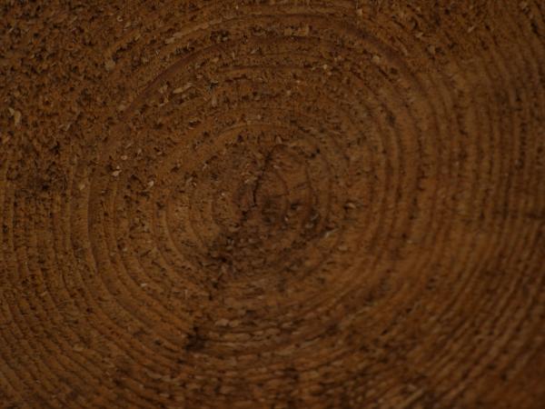 Wood Texture