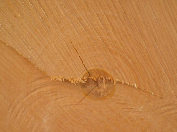 Wood texture