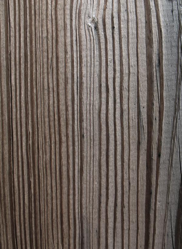 Wood Texture