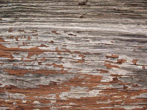 Wood Texture