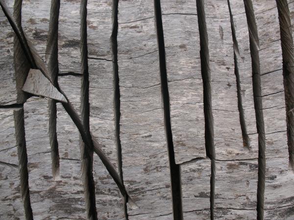 Wood Texture