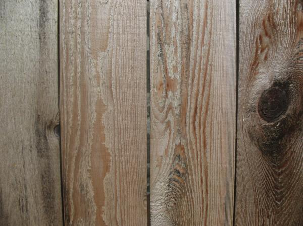 Wood Texture