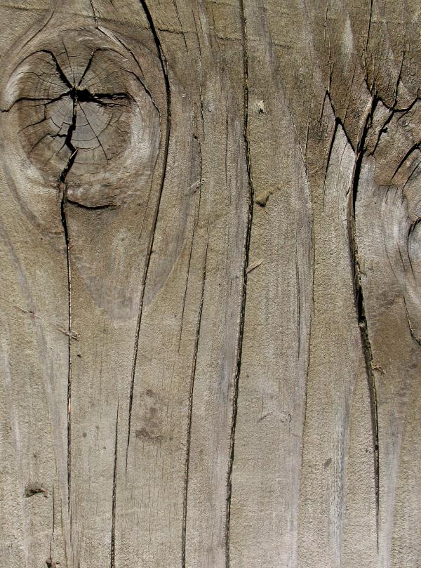 Wood Texture
