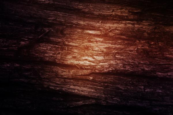 Wood texture