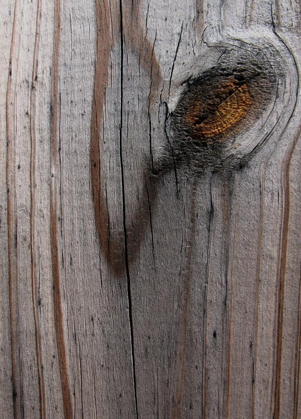 Wood Texture