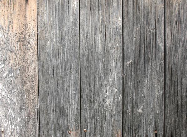 Wood Texture