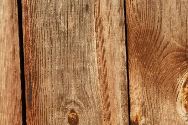 Wood Texture