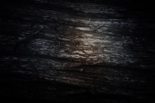 Wood texture