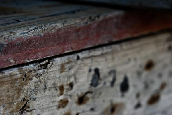 Wood texture