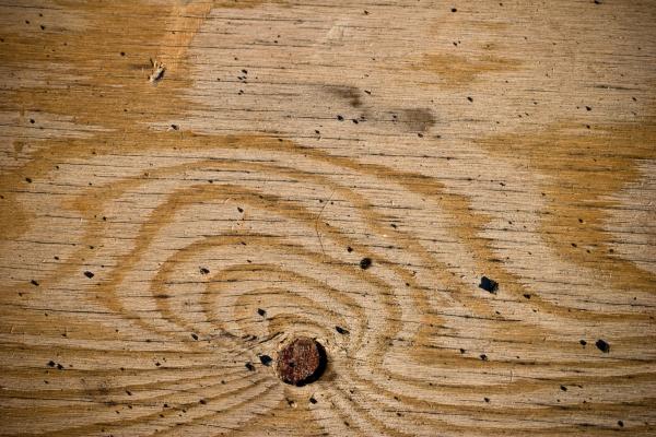 Wood texture