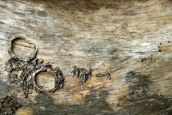 Wood texture