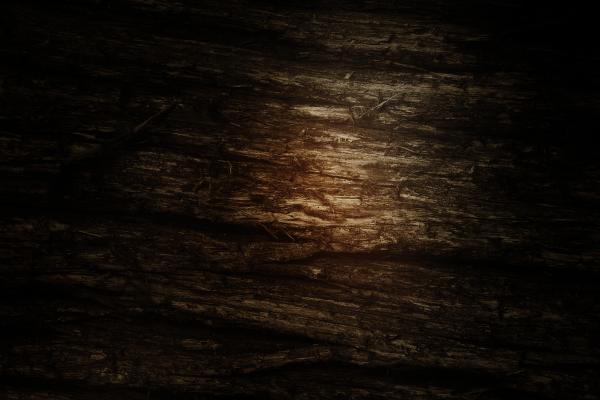 Wood texture