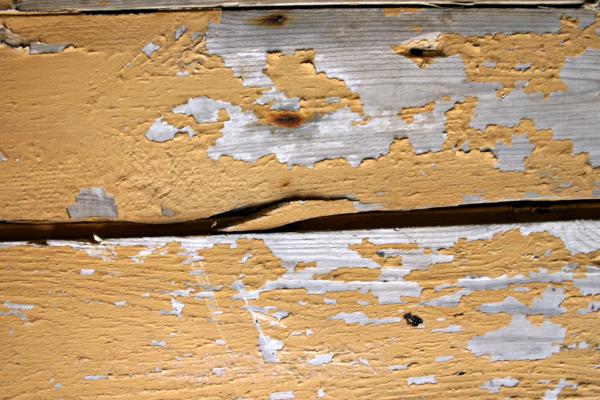 Wood texture
