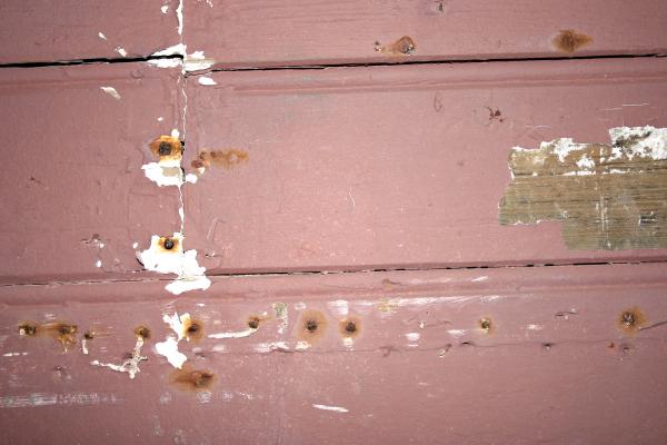 Wood texture