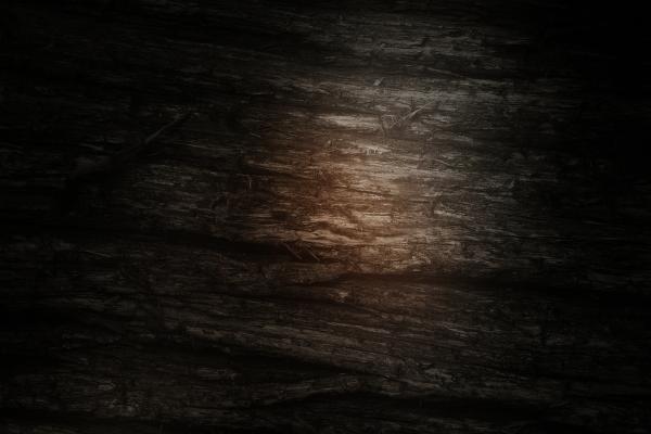 Wood texture
