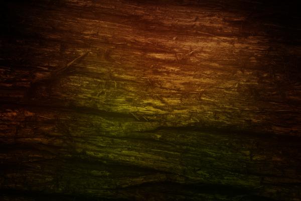 Wood texture