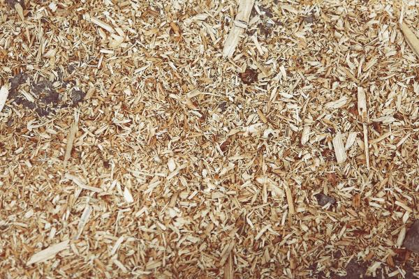Wood Texture