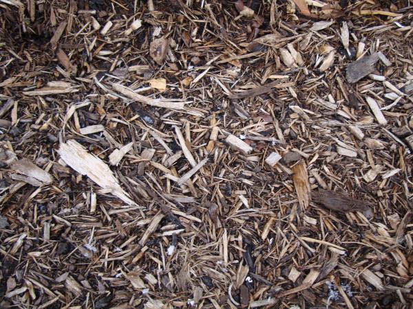 Woodchips