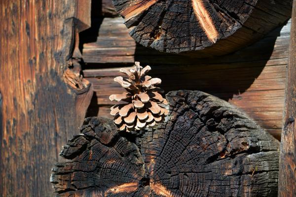 Wooden