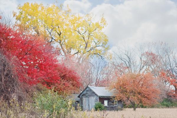 Wooden Barn