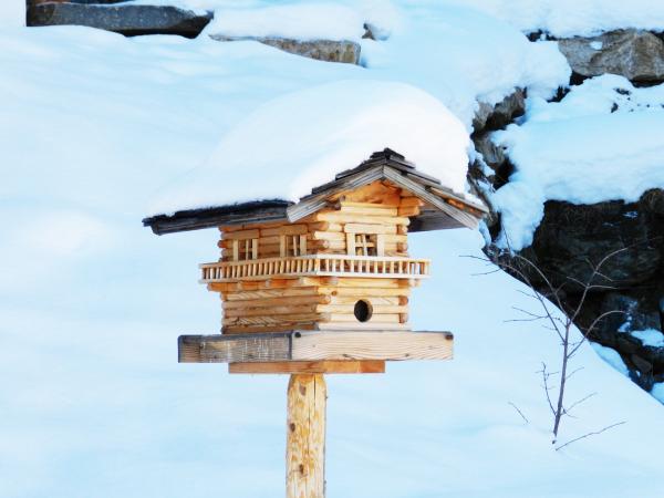 Wooden Bird House