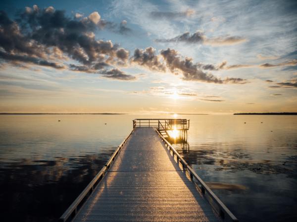 Wooden bridge