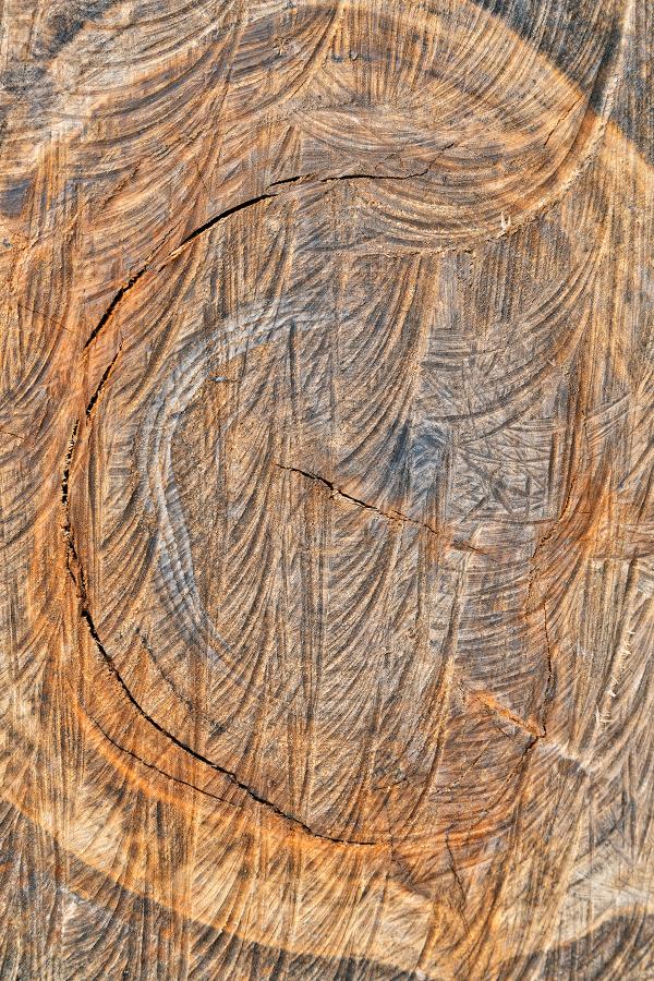 Wooden Embryo - HDR Texture