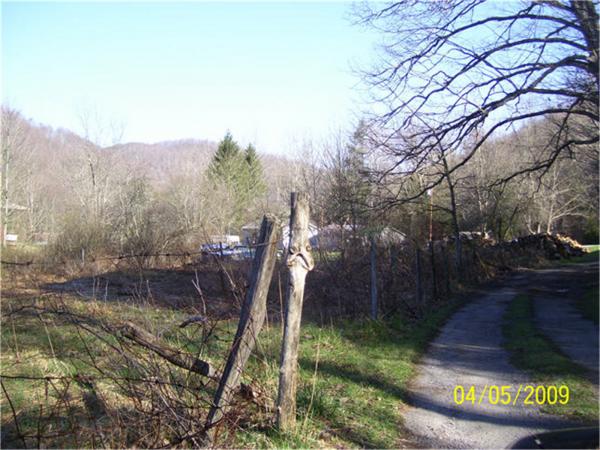 Wooden Fence Post Oddity