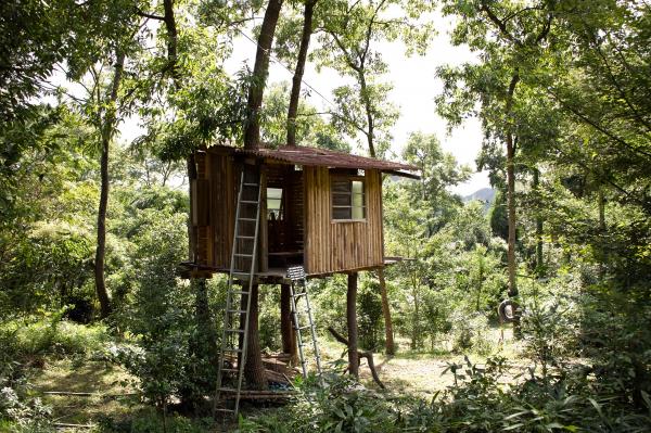 Wooden House in the Woods