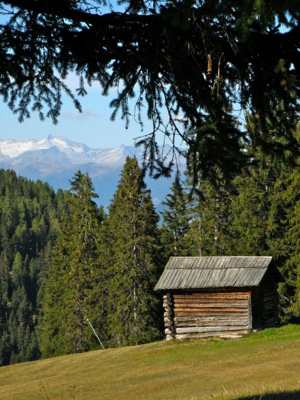 Wooden shack on the hill