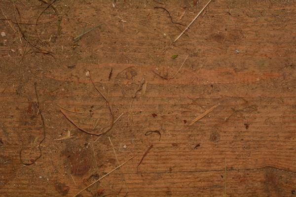 Wooden Texture