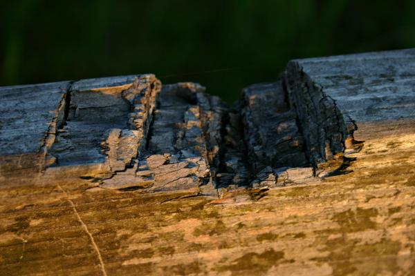Wooden texture