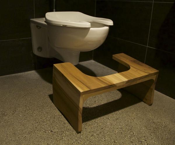 Wooden Toilet