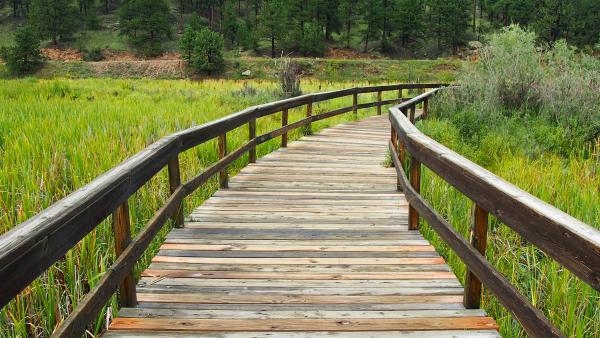 Wooden walkway