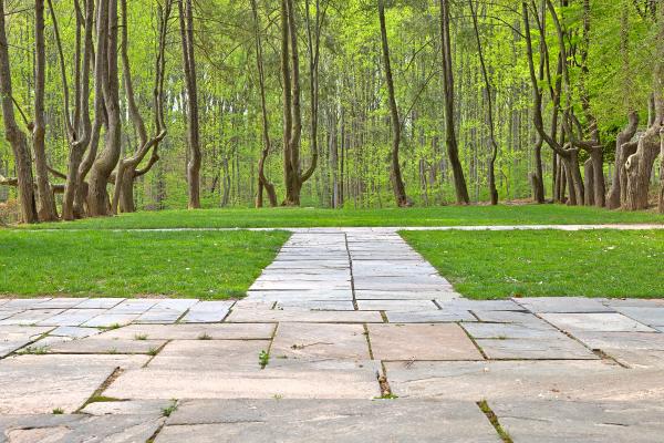 Woodend Sanctuary Path - HDR