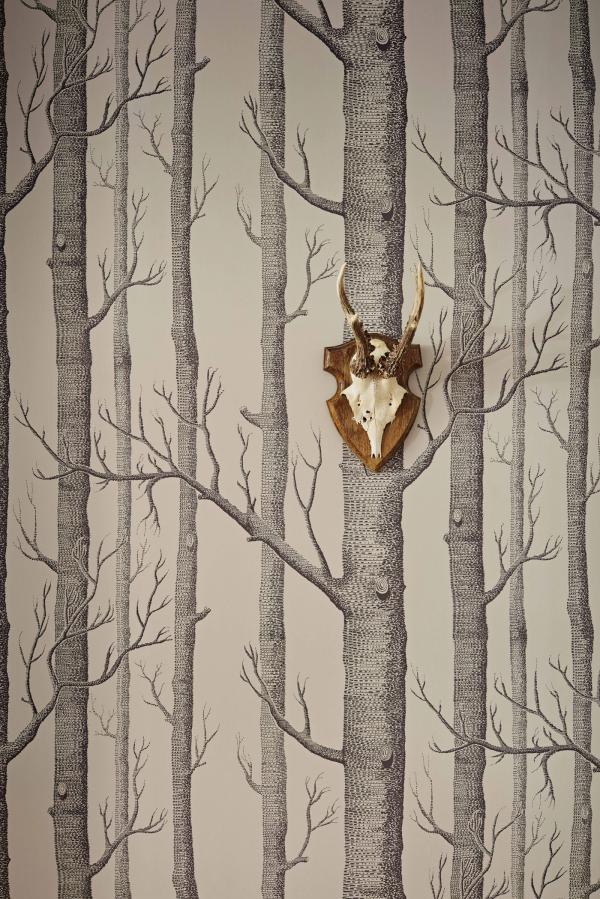 Woods