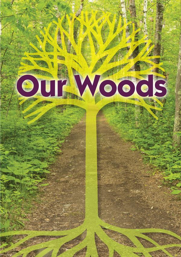 Woods