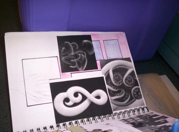 Work Book Koru