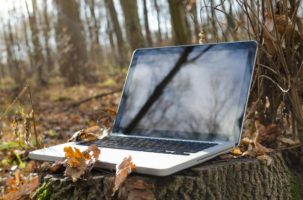 Working on laptop in forest